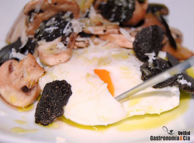 Huevo poché con champiñones, trufa negra y parmesano