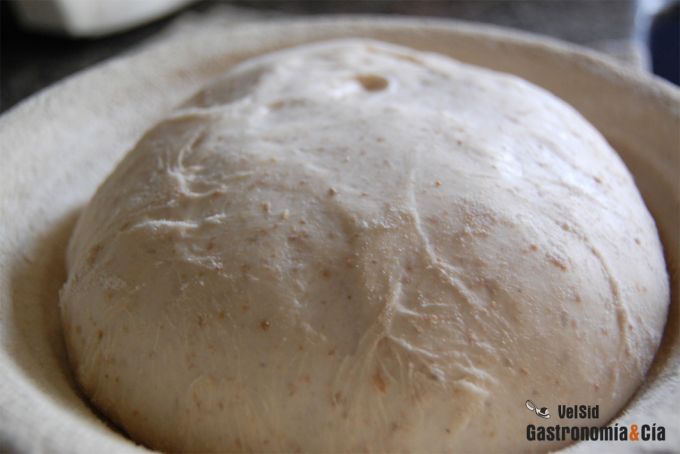 Pan blanco con masa madre de centeno