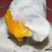 Huevo poché con setas y espuma de patata