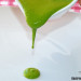 Salsa de perejil, salsa verde para todo tipo de platos