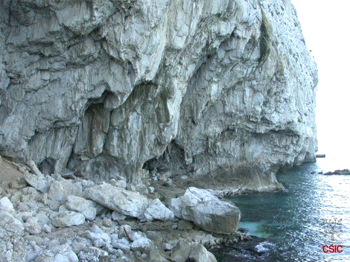 Cueva Vanguard