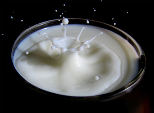 Sector lácteo mundial
