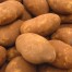 Patatas modificadas genéticamente