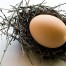 Riesgos de Salmonella en los huevos