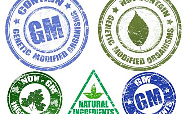 Etiquetas en alimentos modificados genéticamente