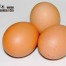 Huevos contaminados con dioxinas