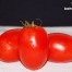 Cortar tomates para extraer las semillas