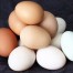 Infografía de la FAO sobre el huevo