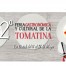 Feria Cultural y Gastronómica de la Tomatina