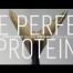 Documental La Proteína Perfecta