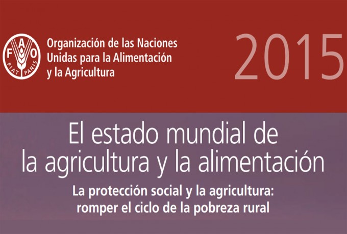 Informe de la FAO 2015