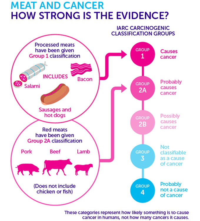 Carne roja fresca, carne procesada y riesgo de cáncer