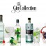 The Gin Collection Contest 2016. Convocatoria