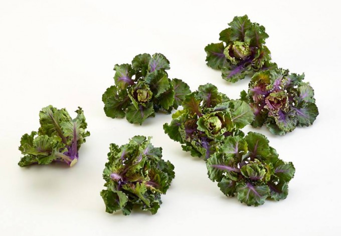 Flower sprouts