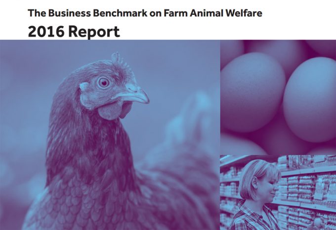 Business Benchmark on Farm Animal Welfare 