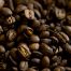 Mapa genético del café arábica