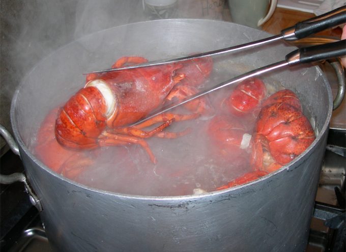 Manipular crustáceos en la cocina