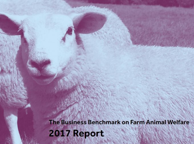 Business Benchmark on Farm Animal Welfare (BBFAW)