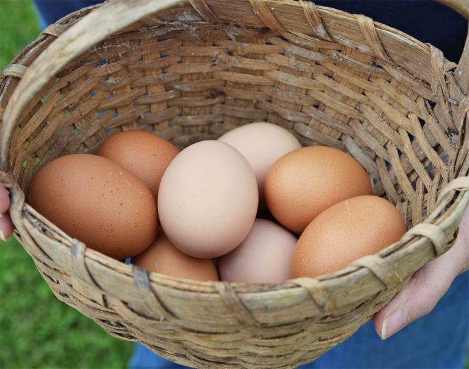 Caracter saludable de los huevos