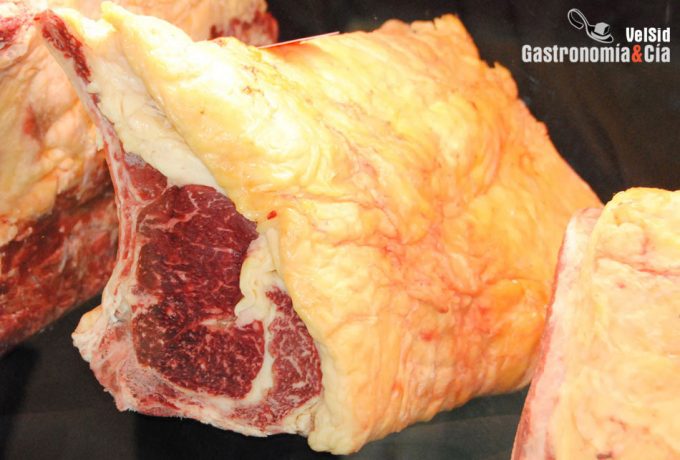 Carne sólo se puede utilizar en los alimentos cárnicos derivados de los animales