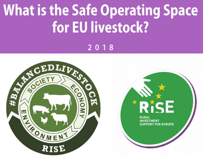 Informe sobre la necesidad de reducir la producción de carne en Europa