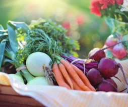 Beneficios de una dieta con alimentos ecológicos