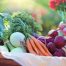 Beneficios de una dieta con alimentos ecológicos