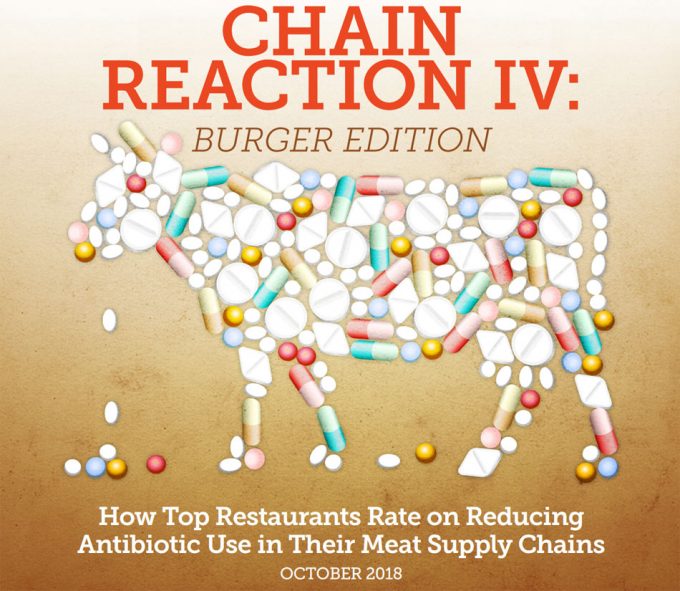 Informe Chain Reaction IV