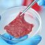Regulación de la carne a base de células en Estados Unidos