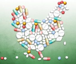 Infecciones resistentes a los antibióticos