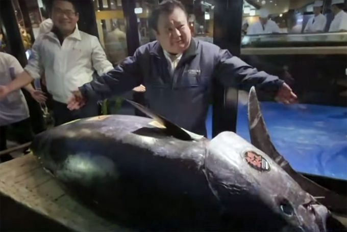 Subasta del atún en Tokio (Japón)