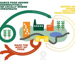 Economía circular aplicada a la producción alimentaria