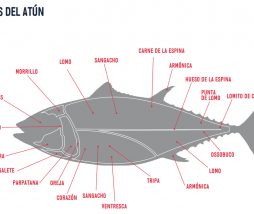 Características del atún rojo