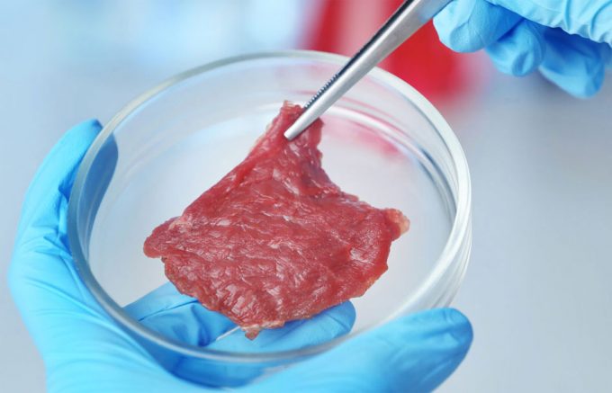 carne obtenida a partir del cultivo de células animales
