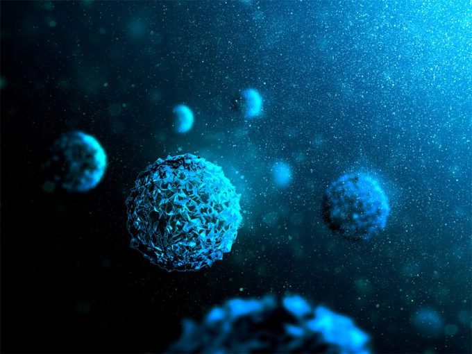 Células inmunes y microplásticos