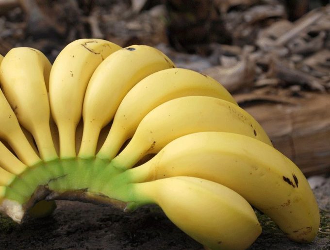 Suburbio Los invitados Hito Cómo conservar los plátanos en casa, evitar que se maduren rápido y que se  pongan negros en la nevera | Gastronomía & Cía