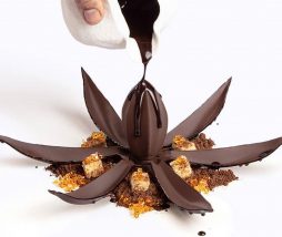 Flor de Cacao