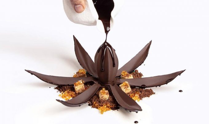 Flor de Cacao