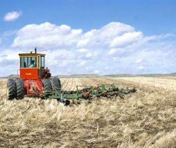Aumento de la superficie de tierra destinada a la agricultura ecológica