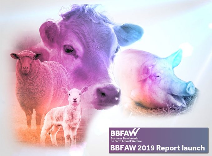Business Benchmark on Farm Animal Welfare 2019