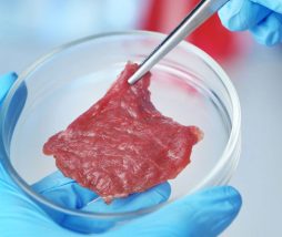 Julien Denormandie no acepta la carne a base de células