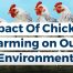 Contaminación de la producción avícola