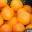 Precio de naranjas en 2021