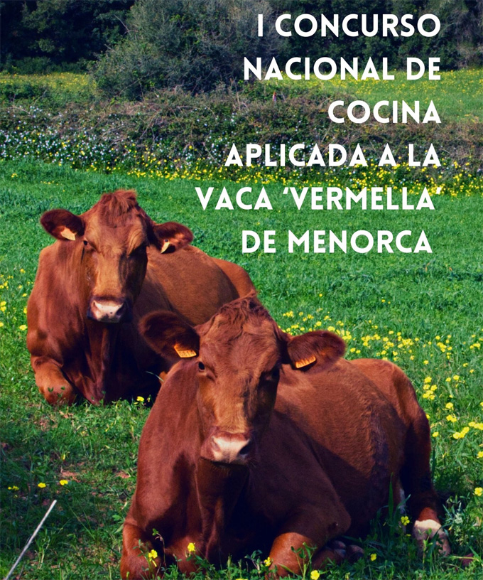 Vaca ‘Vermella’ de Menorca