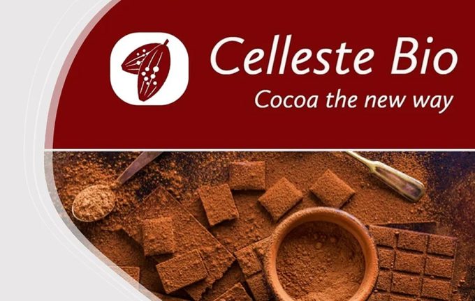 Cacao de cultivo celular