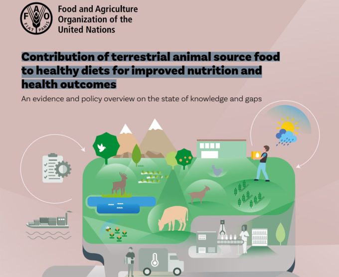Contribución de los alimentos de origen animal terrestre a una dieta sana para mejorar la nutrición y la salud