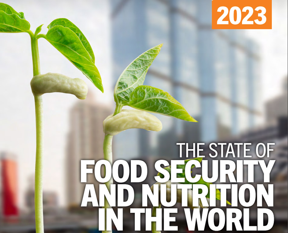 Estado de la seguridad alimentaria y la nutrición en el mundo 2023.