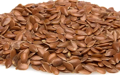 ¿Cómo consumir semillas de lino adecuadamente?